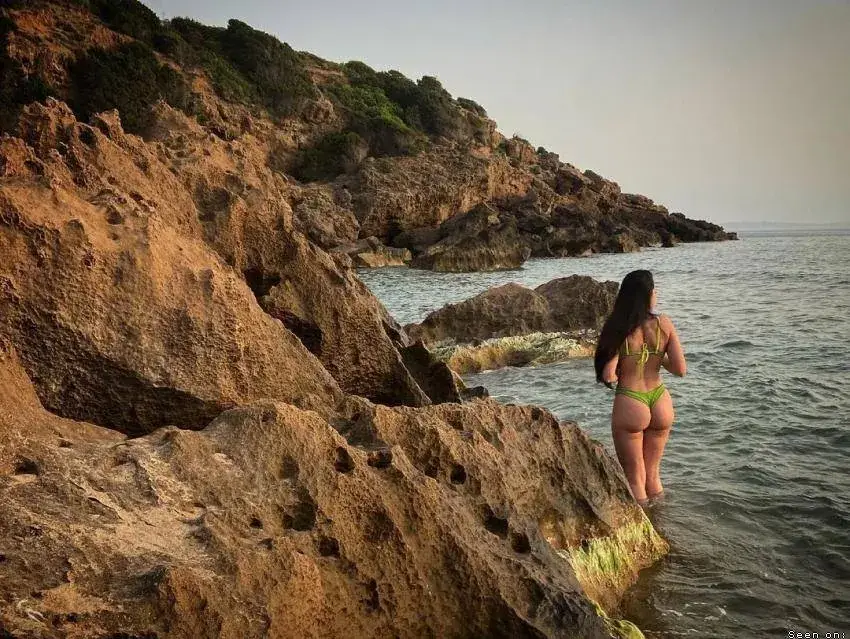 LanosWild